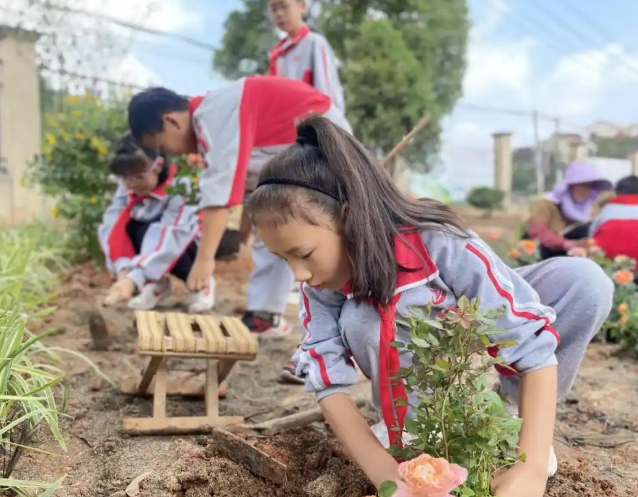 先行探究也有村庄校的量体裁衣其五维推进的体系性实践 先行探究也有村庄校的量体裁衣其五维推进的体系性实践